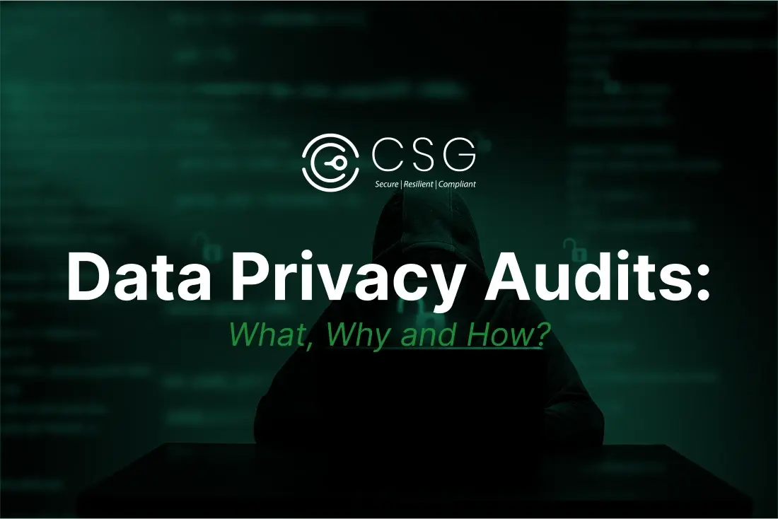 Data Privacy Audit